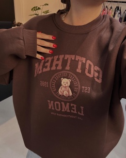 Bluza z misiem czekolada