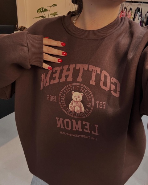 Bluza z misiem czekolada